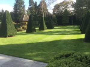 Garden Maintenance – Gardener Cornwall